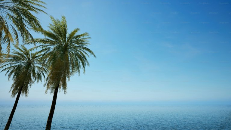 Maximizing Your Family Holiday Budget: Top Tips for Finding Great Deals